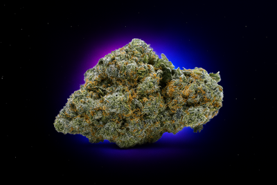 Solero Indoor | 22% CBD | Indoor